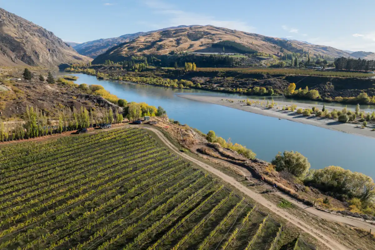 Aerial view of the Kawarau River with vineyards and the gorge trail